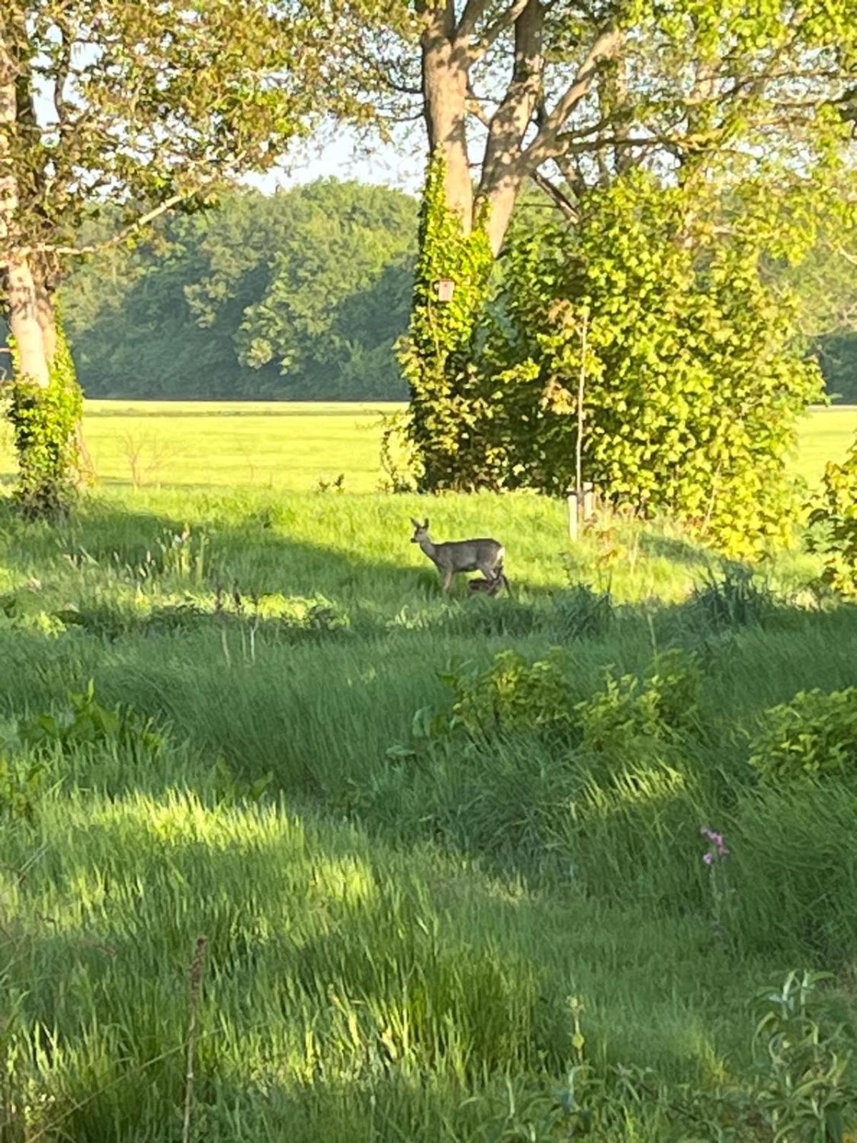 Bij De Kei Appelscha Villa Bagian luar foto